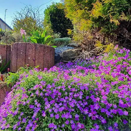 Villa La Maison D Ange Lou Le Hohwald