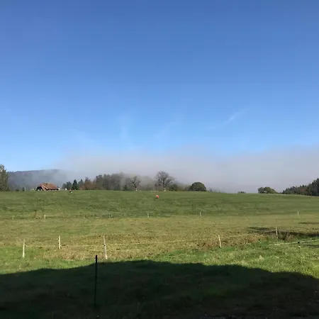 La Maison D Ange Lou * Le Hohwald