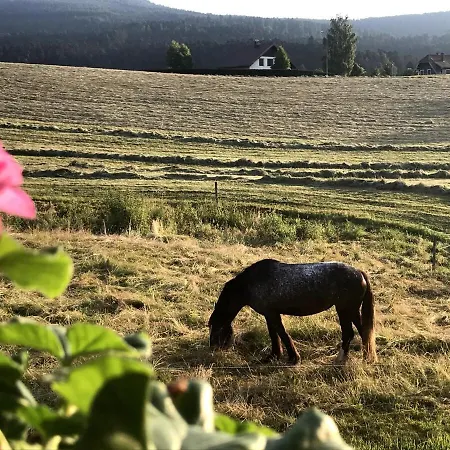 La Maison D Ange Lou Le Hohwald